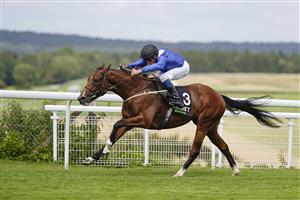 CHICHESTER, ENGLAND - JULY 29: William Buick riding Qaader win The Unibet '15 To Go' Kincsem Handicap during the Qatar Goodwood Festival at Goodwood Racecourse on July 29, 2021 in Chichester, England. (Photo by Alan Crowhurst/Getty Images)