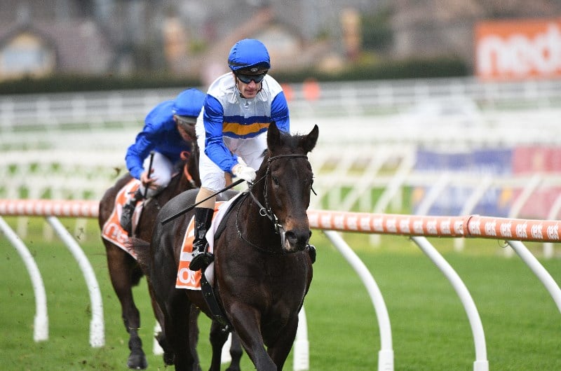 Big Bets for 31.07.2021