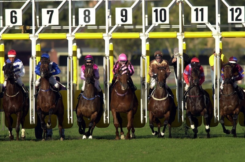 Eagle Farm Betting Tips