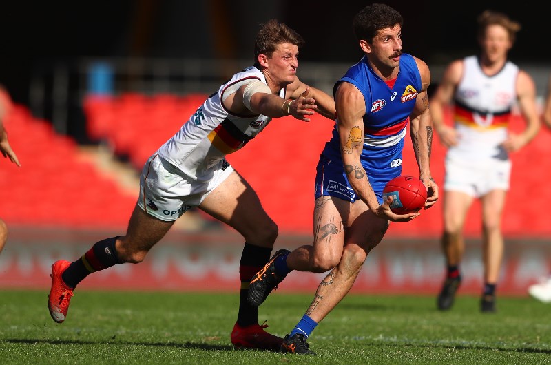 bulldogs crows