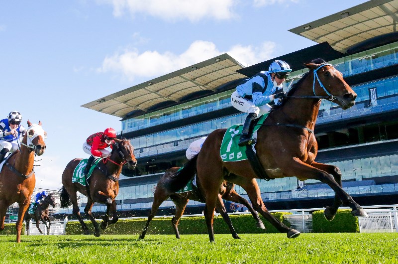 kerrin mcevoy