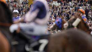 CHICHESTER, ENGLAND - JULY 30: A general view as runners line up for the start of The Unibet 3 Boosts A Day Goodwood Handicap during the Qatar Goodwood Festival at Goodwood Racecourse on July 30, 2021 in Chichester, England. (Photo by Alan Crowhurst/Getty Images)