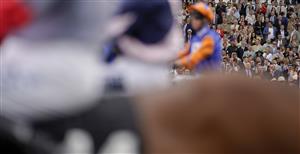 CHICHESTER, ENGLAND - JULY 30: A general view as runners line up for the start of The Unibet 3 Boosts A Day Goodwood Handicap during the Qatar Goodwood Festival at Goodwood Racecourse on July 30, 2021 in Chichester, England. (Photo by Alan Crowhurst/Getty Images)