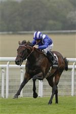 CHICHESTER, ENGLAND - JULY 30: Jim Crowley riding Baaeed win The Bonhams Thoroughbred Stakes during the Qatar Goodwood Festival at Goodwood Racecourse on July 30, 2021 in Chichester, England. (Photo by Alan Crowhurst/Getty Images)