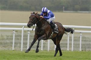 CHICHESTER, ENGLAND - JULY 30: Jim Crowley riding Baaeed win The Bonhams Thoroughbred Stakes during the Qatar Goodwood Festival at Goodwood Racecourse on July 30, 2021 in Chichester, England. (Photo by Alan Crowhurst/Getty Images)