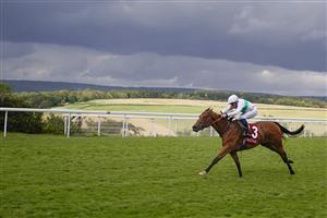 CHICHESTER, ENGLAND - JULY 30: William Buick riding Suesa win The King George Qatar Stakes during the Qatar Goodwood Festival at Goodwood Racecourse on July 30, 2021 in Chichester, England. (Photo by Alan Crowhurst/Getty Images)