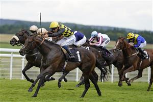 CHICHESTER, ENGLAND - JULY 31: William Carver riding Oo De Lally (black/yellow) win The Thames Materials Handicap during the Qatar Goodwood Festival at Goodwood Racecourse on July 31, 2021 in Chichester, England. (Photo by Alan Crowhurst/Getty Images)