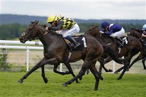 CHICHESTER, ENGLAND - JULY 31: William Carver riding Oo De Lally (black/yellow) win The Thames Materials Handicap during the Qatar Goodwood Festival at Goodwood Racecourse on July 31, 2021 in Chichester, England. (Photo by Alan Crowhurst/Getty Images)
