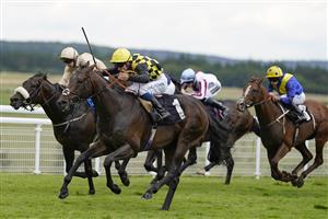 CHICHESTER, ENGLAND - JULY 31: William Carver riding Oo De Lally (black/yellow) win The Thames Materials Handicap during the Qatar Goodwood Festival at Goodwood Racecourse on July 31, 2021 in Chichester, England. (Photo by Alan Crowhurst/Getty Images)