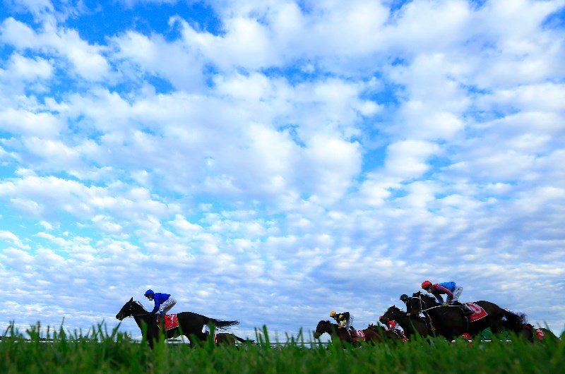 Big Bets for 31.07.2021