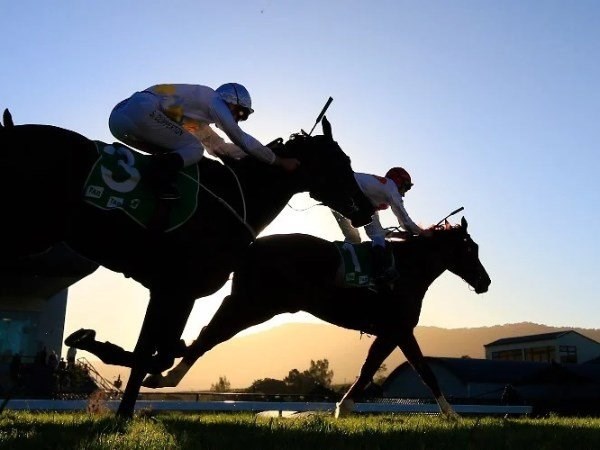 scone racecourse static