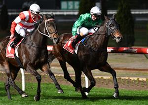MELBOURNE, AUSTRALIA - JULY 31: Alana Kelly riding Imperial Lad winning Race 9, the Ladbroke It Handicap during Melbourne Racing at Moonee Valley Racecourse on July 31, 2021 in Melbourne, Australia. (Photo by Vince Caligiuri/Getty Images)