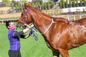 MELBOURNE, AUSTRALIA - JULY 31: Rock Artist after winning Race 1,the Mia Kleer Hand Sanitiser Handicap, during Melbourne Racing at Moonee Valley Racecourse on July 31, 2021 in Melbourne, Australia. (Photo by Vince Caligiuri/Getty Images)