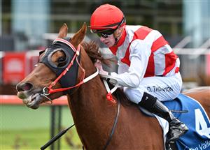 MELBOURNE, AUSTRALIA - JULY 31: Damien Thornton riding Hi Stranger winning Race 3, the Brompton Handicap during Melbourne Racing at Moonee Valley Racecourse on July 31, 2021 in Melbourne, Australia. (Photo by Vince Caligiuri/Getty Images)