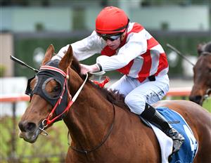 MELBOURNE, AUSTRALIA - JULY 31: Damien Thornton riding Hi Stranger after winning Race 3, the Brompton Handicap during Melbourne Racing at Moonee Valley Racecourse on July 31, 2021 in Melbourne, Australia. (Photo by Vince Caligiuri/Getty Images)