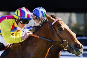 SYDNEY, AUSTRALIA - JULY 31: Brock Ryan on Ashman wins race 5 the Midway Handicap during Sydney Racing at Royal Randwick Racecourse on July 31, 2021 in Sydney, Australia. (Photo by Mark Evans/Getty Images)