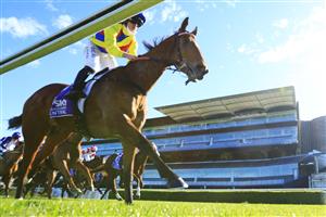 SYDNEY, AUSTRALIA - JULY 31: Brock Ryan on Ashman wins race 5 the Midway Handicap during Sydney Racing at Royal Randwick Racecourse on July 31, 2021 in Sydney, Australia. (Photo by Mark Evans/Getty Images)