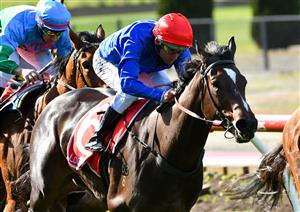 MELBOURNE, AUSTRALIA - JULY 31: Damien Oliver riding Zapateo winning Race 2, the Plant Powered Cleaning Handicap during Melbourne Racing at Moonee Valley Racecourse on July 31, 2021 in Melbourne, Australia. (Photo by Vince Caligiuri/Getty Images)