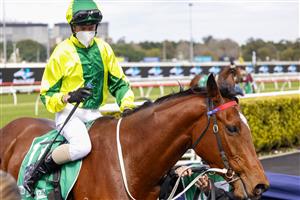 SYDNEY, AUSTRALIA - JULY 31: Glen Boss on Sunrise Ruby returns to scale after winning race 2 the Tab Highway Class 3 Handicap during Sydney Racing at Royal Randwick Racecourse on July 31, 2021 in Sydney, Australia. (Photo by Mark Evans/Getty Images)