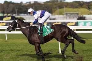 SYDNEY, AUSTRALIA - JULY 31: James McDonald on Wairere Falls wins race 6 the Atc Thank You Owners Handicap during Sydney Racing at Royal Randwick Racecourse on July 31, 2021 in Sydney, Australia. (Photo by Mark Evans/Getty Images)