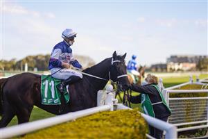 SYDNEY, AUSTRALIA - JULY 31: James McDonald on Wairere Falls returns to scale after winning race 6 the Atc Thank You Owners Handicap during Sydney Racing at Royal Randwick Racecourse on July 31, 2021 in Sydney, Australia. (Photo by Mark Evans/Getty Images)