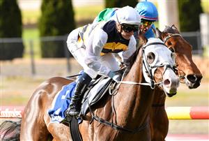 MELBOURNE, AUSTRALIA - JULY 31:Jamie Kah riding I'm Thunderstruck wins race 5, Dominant Cleaning Solutions Handicap during Melbourne Racing at Moonee Valley Racecourse on July 31, 2021 in Melbourne, Australia. (Getty)