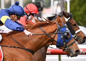 MELBOURNE, AUSTRALIA - JULY 31: Fred Kersley riding Mahamedeis winning Race 4, the Mirasan Handicap during Melbourne Racing at Moonee Valley Racecourse on July 31, 2021 in Melbourne, Australia. (Photo by Vince Caligiuri/Getty Images)