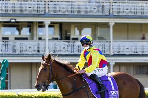SYDNEY, AUSTRALIA - JULY 31: Brock Ryan on Ashman returns to scale after winning race 5 the Midway Handicap showing an empty grandstand during Sydney Racing at Royal Randwick Racecourse on July 31, 2021 in Sydney, Australia. (Photo by Mark Evans/Getty Images)