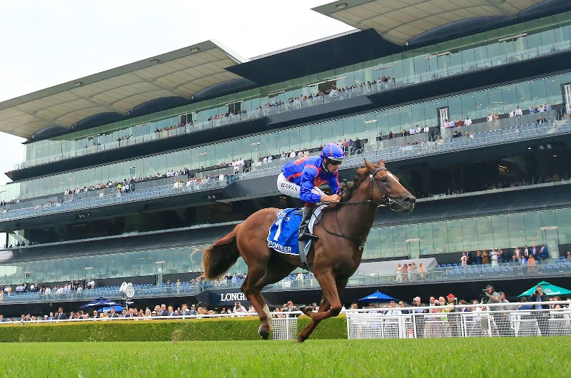 Moir Stakes Betting Odds