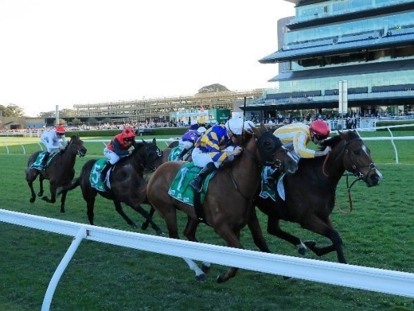 Randwick-Kensington Tips