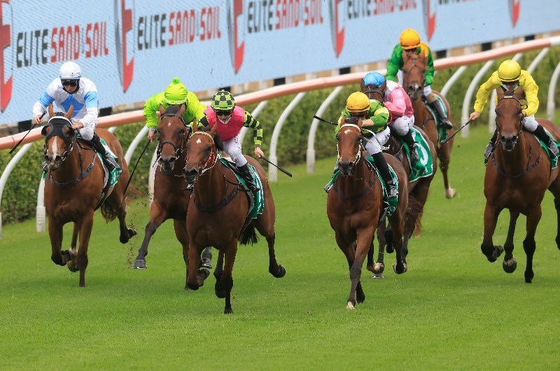 Randwick-Kensington Tips for 03.02.2021