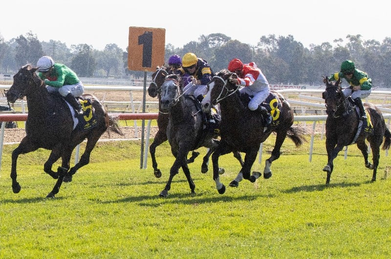 Coffs Harbour Tips for 05.08.2021