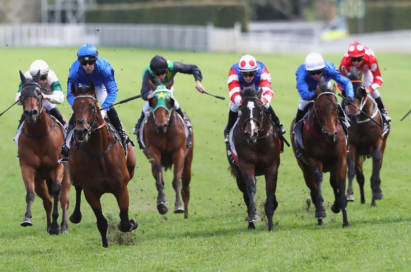 Missile Stakes Tips