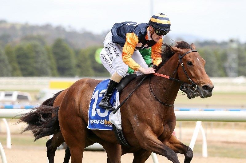Ballarat Betting Tips