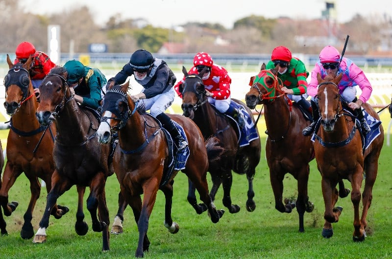 Randwick Tips for 07.08.2021