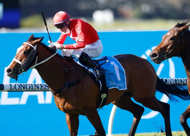 Tommy Berry Megabet