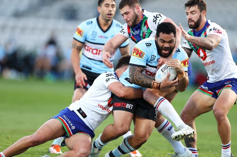 sharks warriors