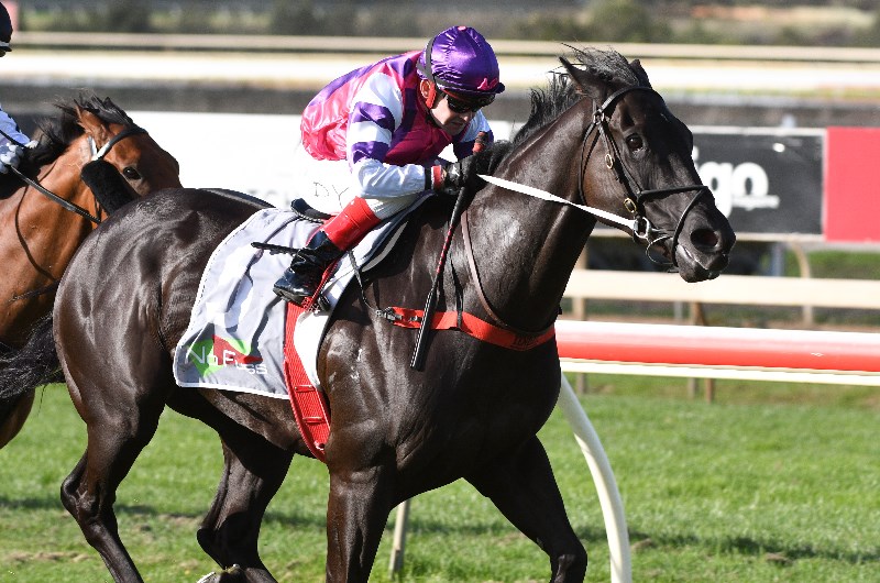 Bendigo Betting Tips