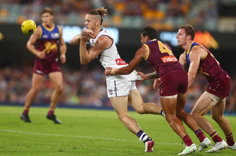 lions dockers