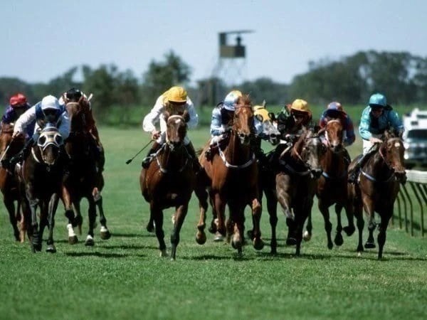 murray bridge tips for 23.05.2020
