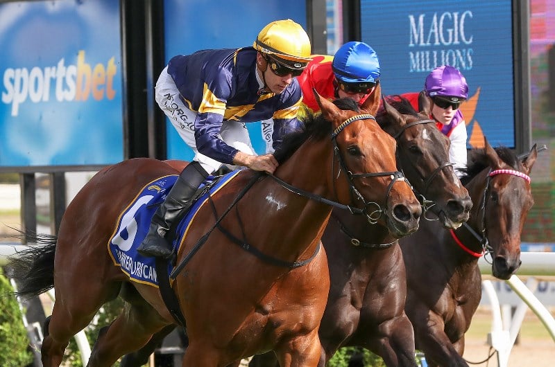Ballarat Synthetic Betting Tips