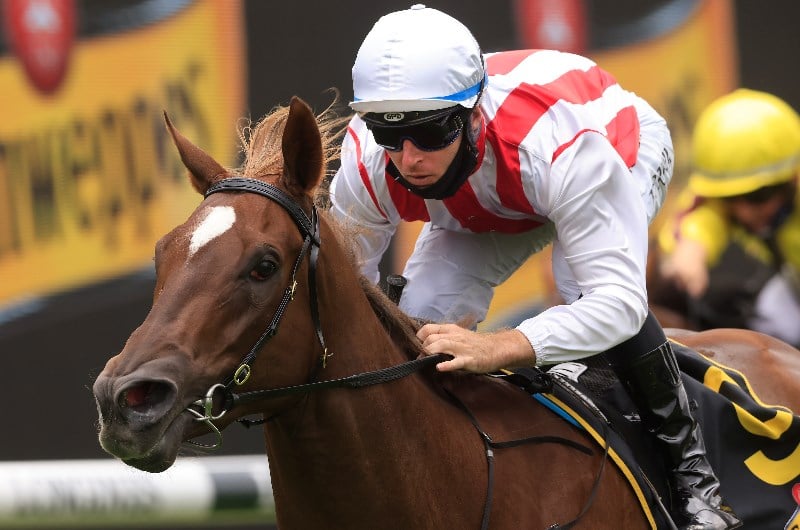 Flight Stakes Betting Odds