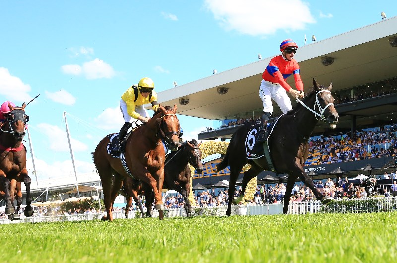 Turnbull Stakes Betting Odds