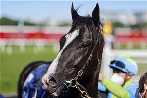 SYDNEY, AUSTRALIA - AUGUST 07: Joshua Parr on Matowatakpe returns to scale after winning
race 4 the Billy Camer Handicap during Sydney Racing at Royal Randwick Racecourse on August 07, 2021 in Sydney, Australia. (Photo by Mark Evans/Getty Images)