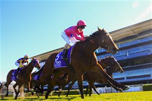 SYDNEY, AUSTRALIA - AUGUST 07: Glen Boss (pink) on Gemmhara wins race 5 the Midway Handicap during Sydney Racing at Royal Randwick Racecourse on August 07, 2021 in Sydney, Australia. (Photo by Mark Evans/Getty Images)