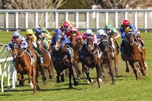 SYDNEY, AUSTRALIA - AUGUST 07: James McDonald (blue sleeves) on Dream Runner wins race 3 the Tab Highway Class 3 Plate during Sydney Racing at Royal Randwick Racecourse on August 07, 2021 in Sydney, Australia. (Photo by Mark Evans/Getty Images)