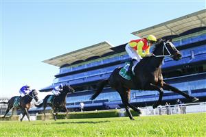 SYDNEY, AUSTRALIA - AUGUST 07: James McDonald on Hot Spring Gold wins race 1 the Clubsnsw Western Metropolitan Handicap during Sydney Racing at Royal Randwick Racecourse on August 07, 2021 in Sydney, Australia. (Photo by Mark Evans/Getty Images)
