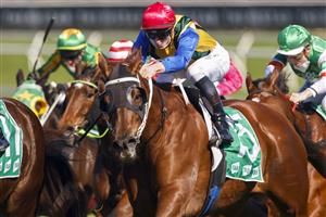 SYDNEY, AUSTRALIA - AUGUST 07: James McDonald on Dream Runner wins race 3 the Tab Highway Class 3 Plate during Sydney Racing at Royal Randwick Racecourse on August 07, 2021 in Sydney, Australia. (Photo by Mark Evans/Getty Images)