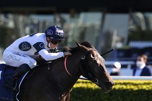 SYDNEY, AUSTRALIA - AUGUST 07: James McDonald on Harpo Marx wins race 2 the Cliff Clare Handicap during Sydney Racing at Royal Randwick Racecourse on August 07, 2021 in Sydney, Australia. (Photo by Mark Evans/Getty Images)