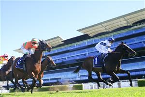 SYDNEY, AUSTRALIA - AUGUST 07: James McDonald on Harpo Marx wins race 2 the Cliff Clare Handicap during Sydney Racing at Royal Randwick Racecourse on August 07, 2021 in Sydney, Australia. (Photo by Mark Evans/Getty Images)